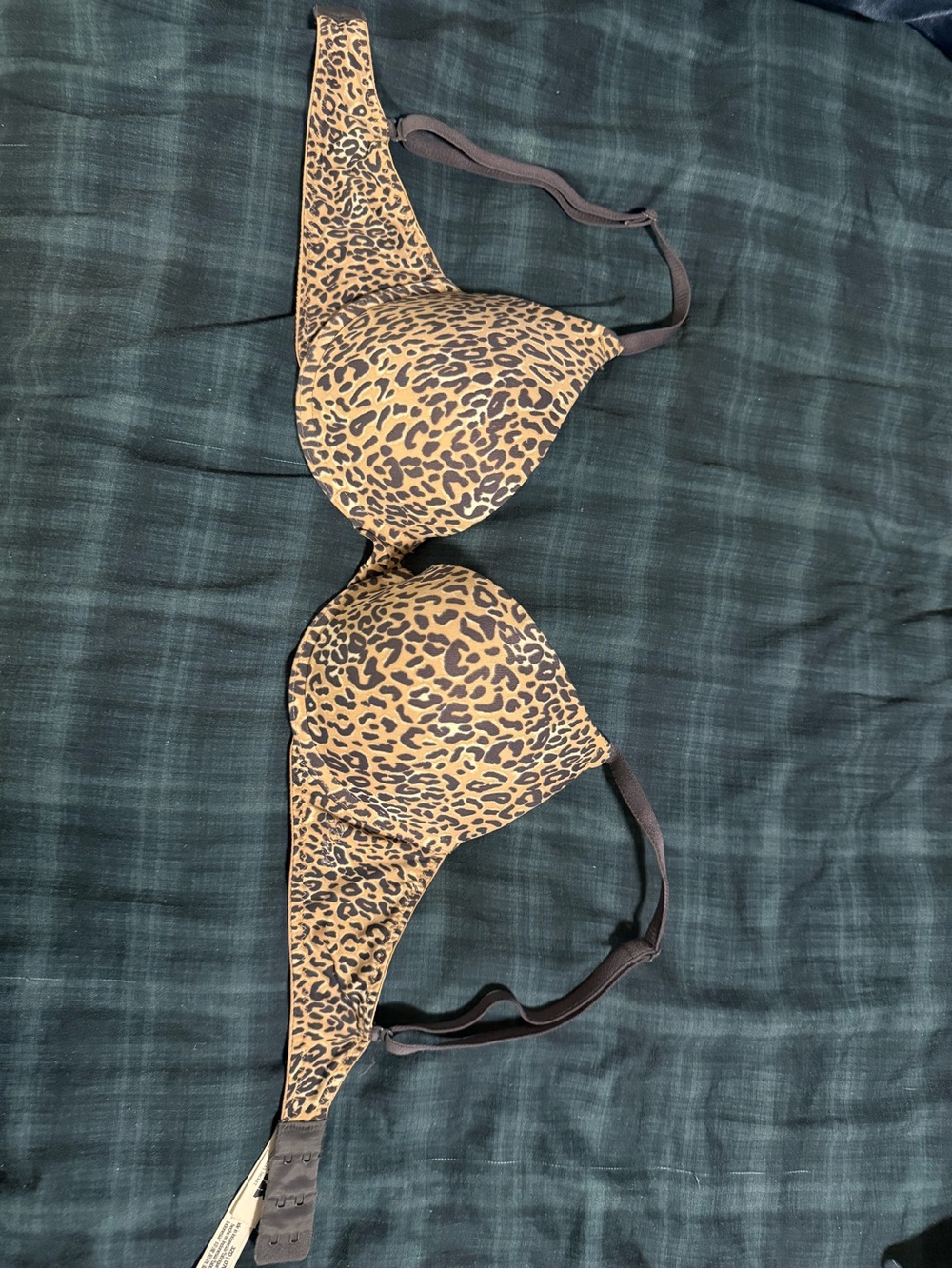 Victoriaโs Secret Push-Up Bra 32d